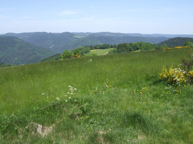 Moosenmättle Klein